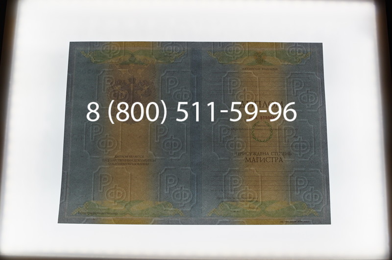 Заказать Диплом магистра 2010-2011 годов в Нижнем Новгороде