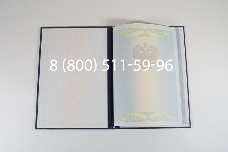 Диплом магистра 2010-2011 годов в Нижнем Новгороде