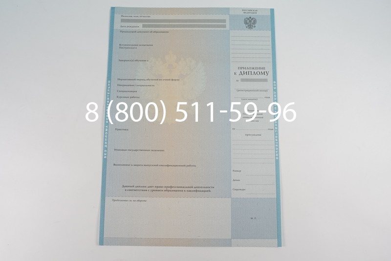 Диплом магистра 2010-2011 годов в Нижнем Новгороде