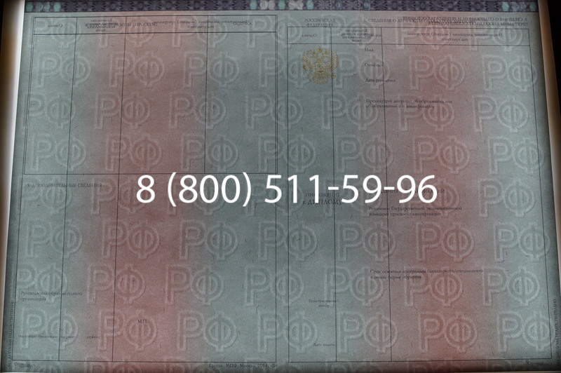 Заказать Диплом о высшем образовании 2014-2026 годов в Нижнем Новгороде