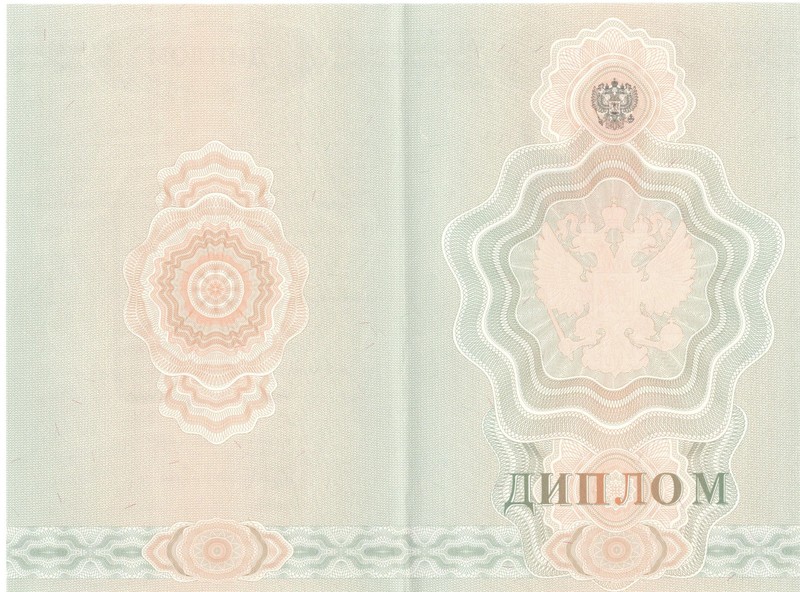 Купить Диплом о начальном образовании  2007-2009 годов в Нижнем Новгороде