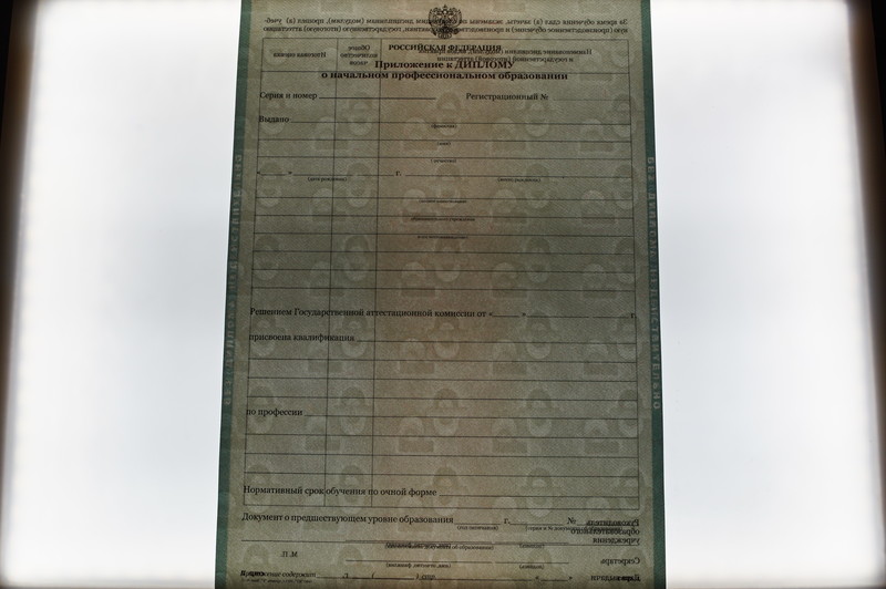 Заказать Диплом о начальном образовании  2010-2026 годов в Нижнем Новгороде