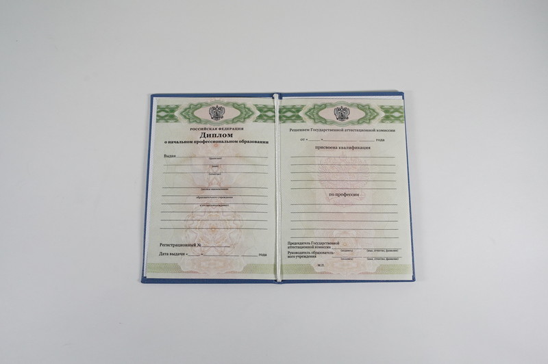 Диплом о начальном образовании  2010-2026 годов в Нижнем Новгороде