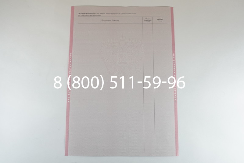 Диплом о среднем образовании 2003-2006 годов в Нижнем Новгороде