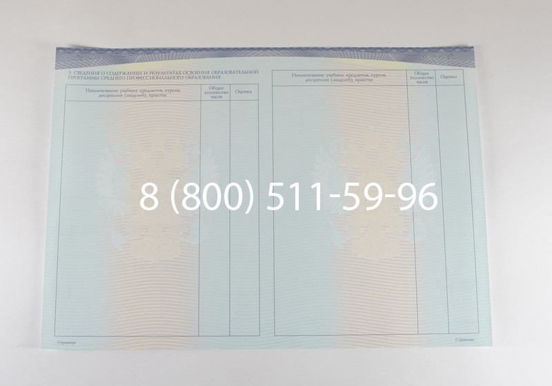 Диплом о среднем образовании (Спецбланк) 2014-2026 года в Нижнем Новгороде