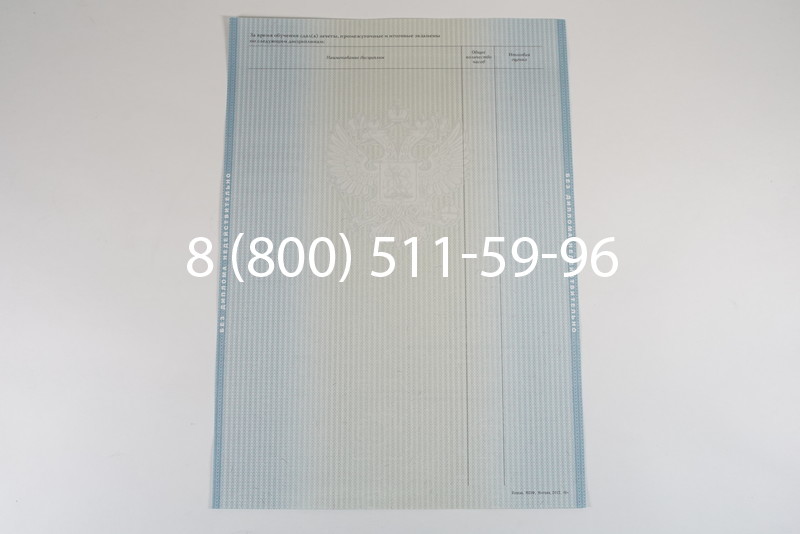 Диплом о высшем образовании 2012-2013 годов в Нижнем Новгороде