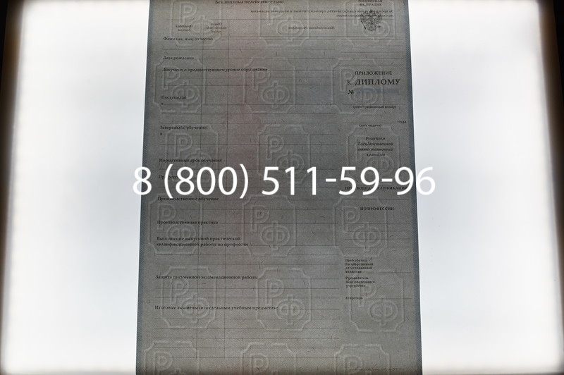 Заказать Диплом ПТУ 2007-2010 годов в Нижнем Новгороде