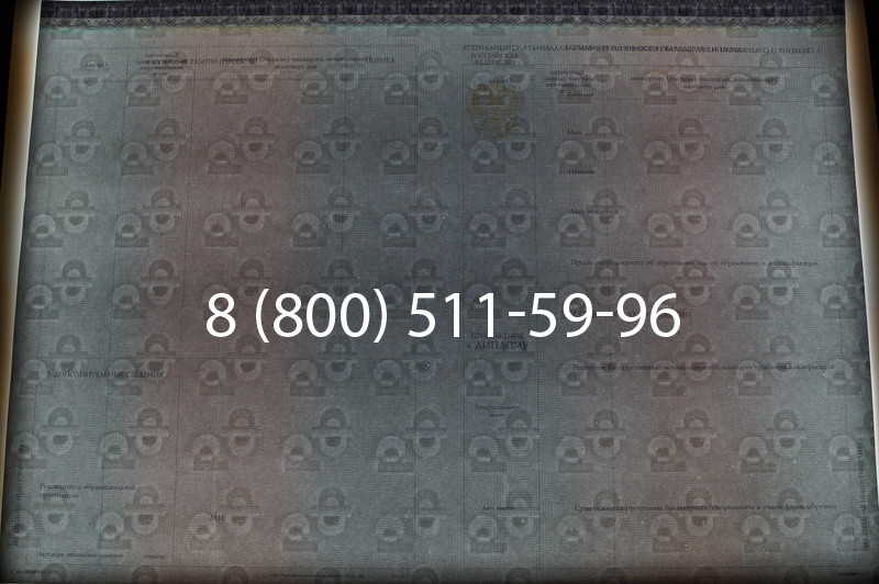 Заказать Диплом специалиста (КИРЖАЧ) 2014-2026 года в Нижнем Новгороде