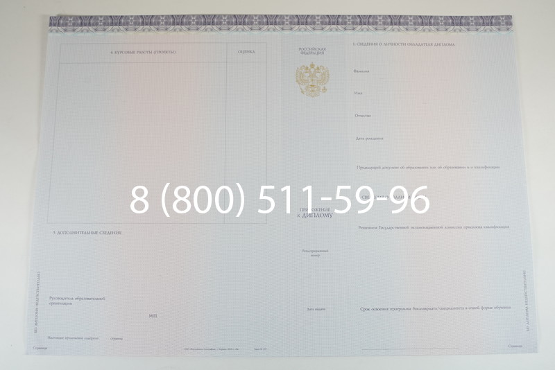 Диплом специалиста (КИРЖАЧ) 2014-2026 года в Нижнем Новгороде