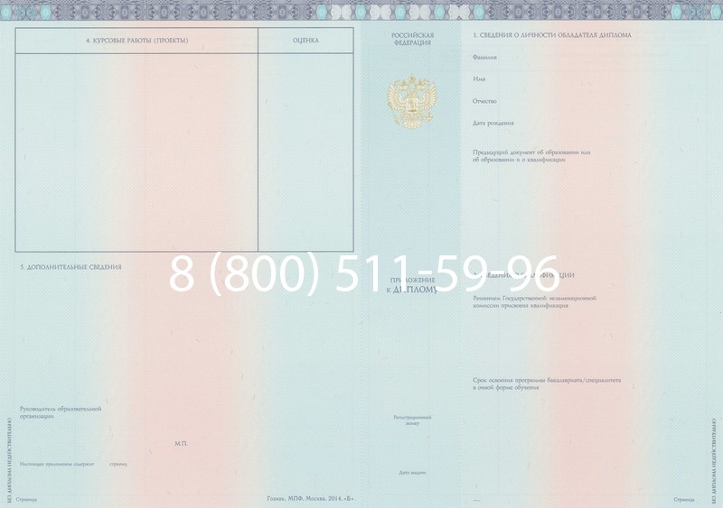 Заказать Диплом специалиста 2014-2026 года в Нижнем Новгороде