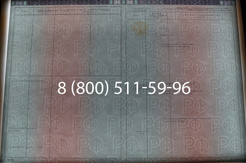 Заказать Диплом специалиста 2014-2026 года в Нижнем Новгороде