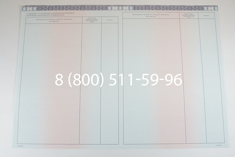 Диплом специалиста 2014-2026 года в Нижнем Новгороде