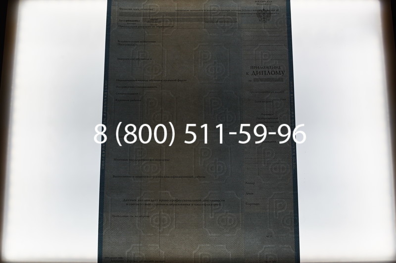 Заказать Диплом специалиста 1997-2002 годов в Нижнем Новгороде