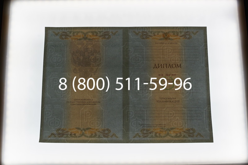 Заказать Диплом специалиста 2003-2009 годов в Нижнем Новгороде