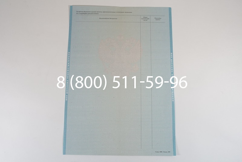 Диплом специалиста 2010-2011 годов в Нижнем Новгороде