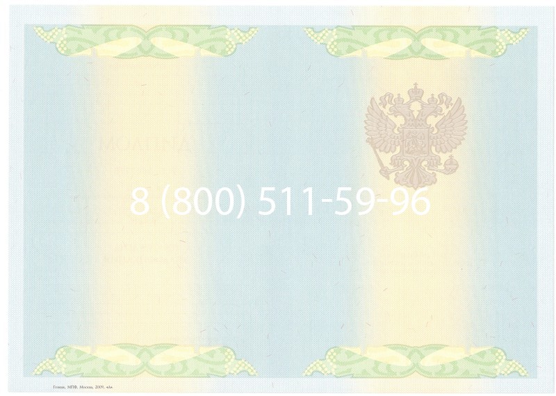 Купить Диплом специалиста 2010-2011 годов в Нижнем Новгороде