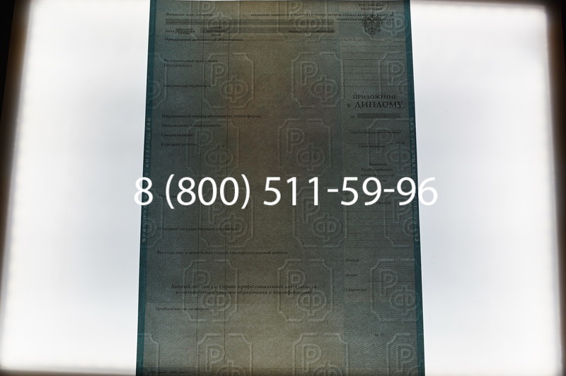 Заказать Диплом специалиста 2010-2011 годов в Нижнем Новгороде