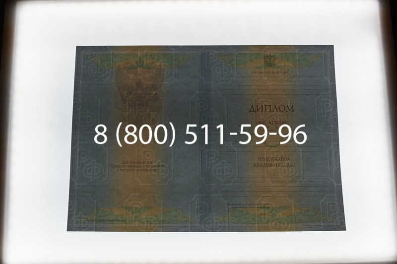 Заказать Диплом специалиста 2010-2011 годов в Нижнем Новгороде