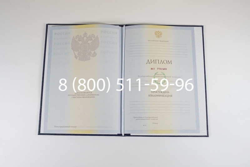 Диплом специалиста 2010-2011 годов в Нижнем Новгороде