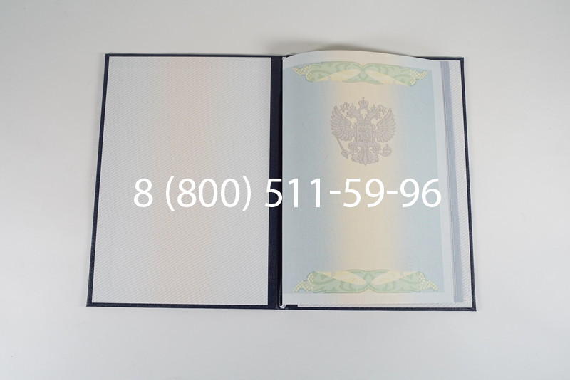 Диплом специалиста 2010-2011 годов в Нижнем Новгороде