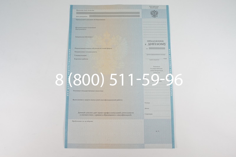 Диплом специалиста 2010-2011 годов в Нижнем Новгороде