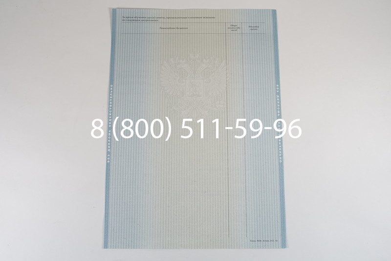 Диплом специалиста 2012-2013 годов в Нижнем Новгороде