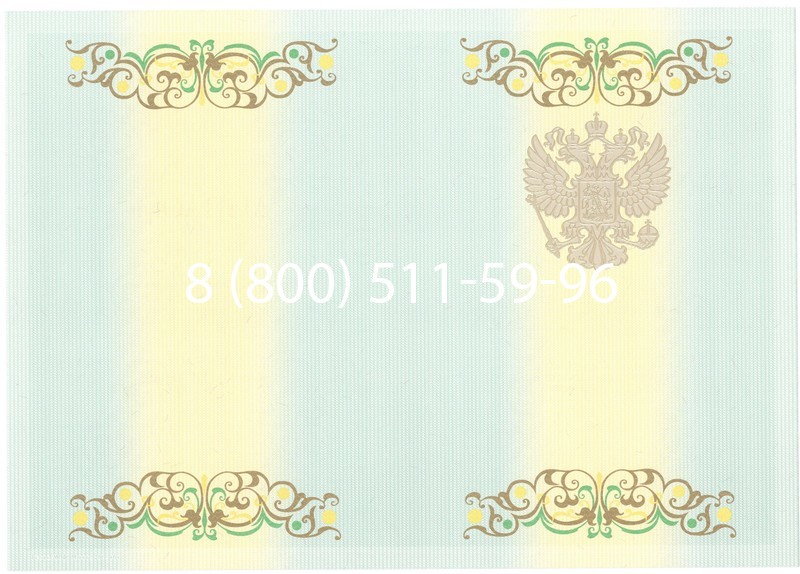 Купить Диплом специалиста 2012-2013 годов в Нижнем Новгороде