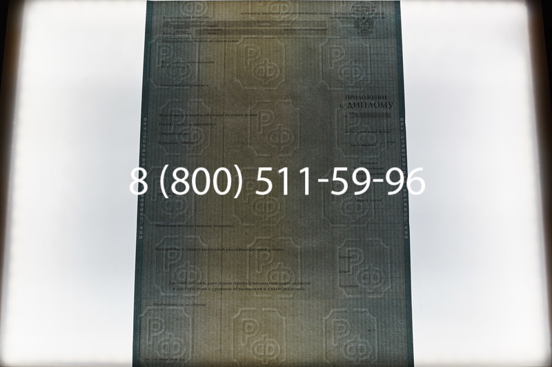 Заказать Диплом специалиста 2012-2013 годов в Нижнем Новгороде