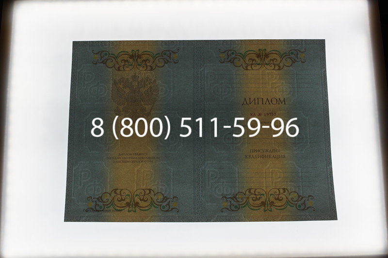 Заказать Диплом специалиста 2012-2013 годов в Нижнем Новгороде