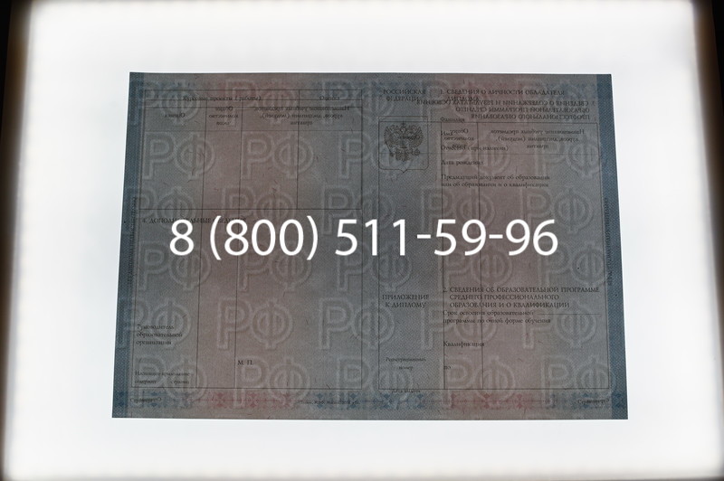 Заказать Диплом техникума 2014-2026 года в Нижнем Новгороде