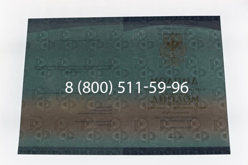 Диплом техникума (Спецбланк) 2014-2026 года в Нижнем Новгороде