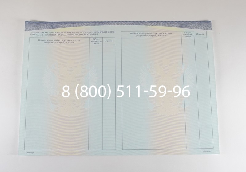 Диплом техникума (Спецбланк) 2014-2026 года в Нижнем Новгороде