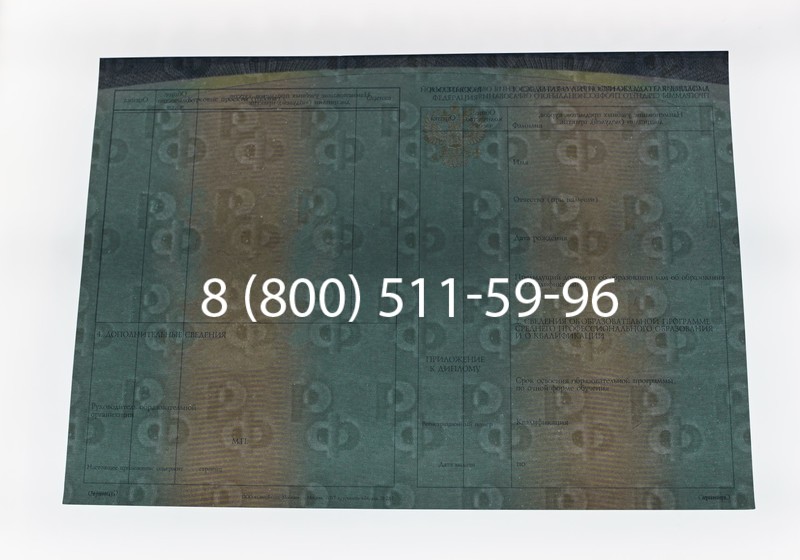 Диплом техникума (Спецбланк) 2014-2026 года в Нижнем Новгороде