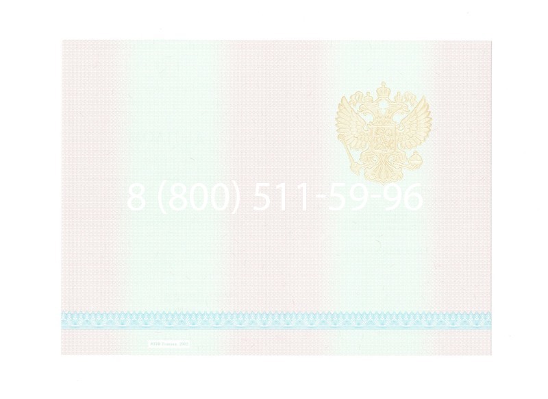 Заказать Диплом техникума 2003-2006 годов в Нижнем Новгороде