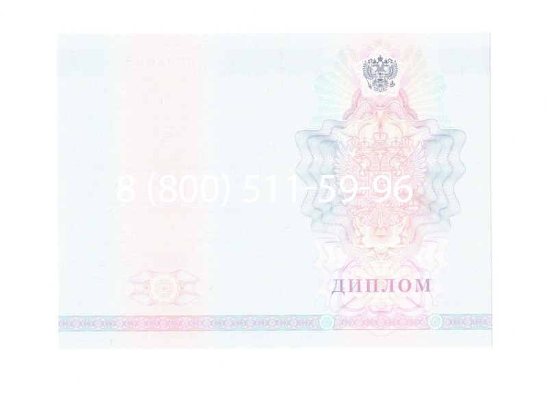 Заказать Диплом техникума 2007-2010 годов в Нижнем Новгороде