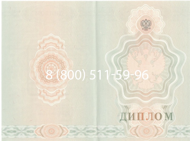 Купить Диплом училища 2007-2009 годов в Нижнем Новгороде