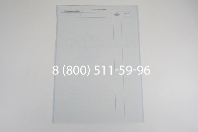 Диплом училища 2007-2009 годов в Нижнем Новгороде