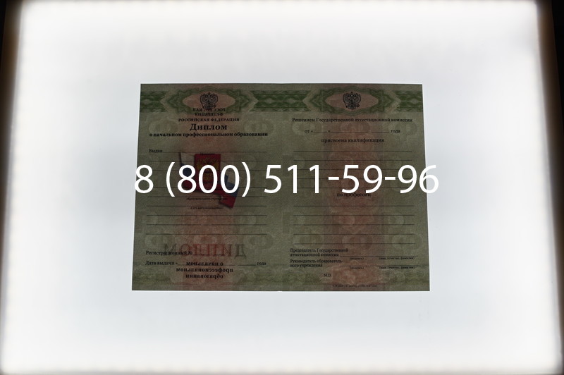 Заказать Диплом училища 2010 год в Нижнем Новгороде