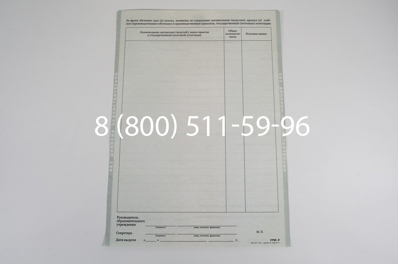 Диплом училища 2010 год в Нижнем Новгороде