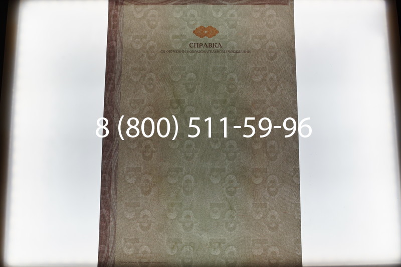 Купить Справка об обучении в Нижнем Новгороде