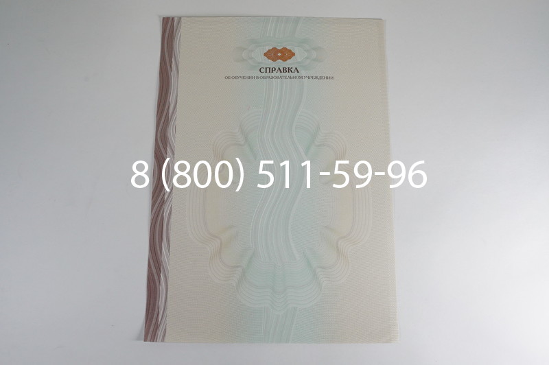 Заказать Справка об обучении в Нижнем Новгороде
